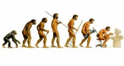 Evolution